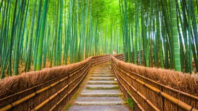 Giappone: da Tokyo al Kumano Kodo